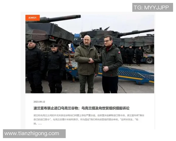 乌克兰与波兰比赛主裁判的执法表现与争议分析